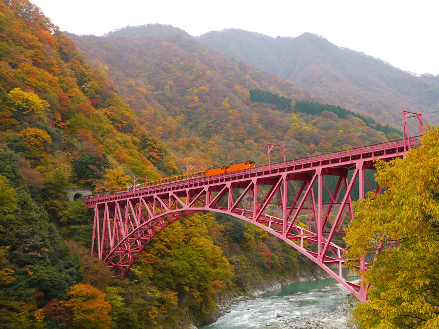 Kurobe Gorge Trolley Train