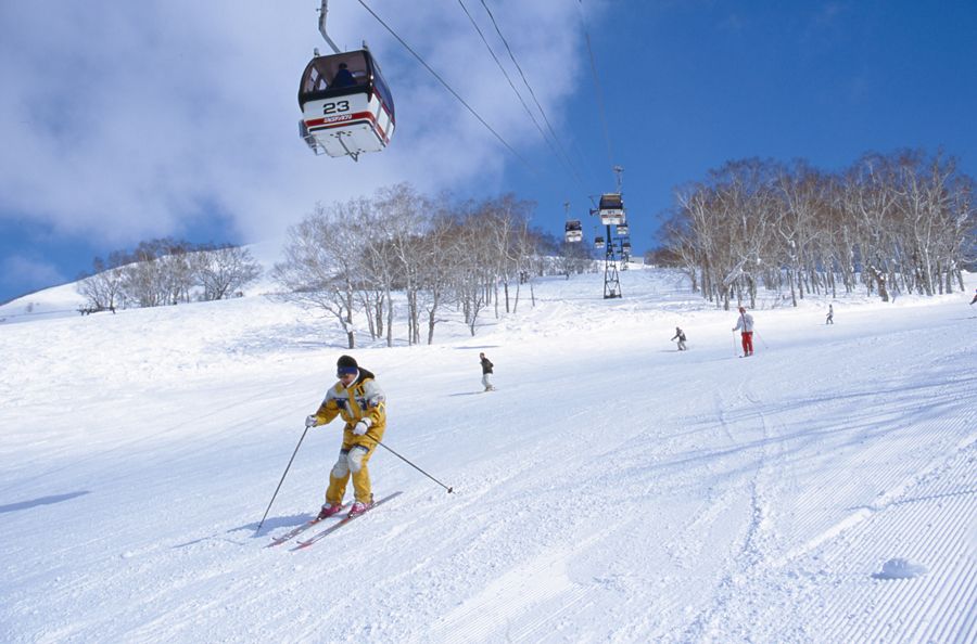 Niseko Ski