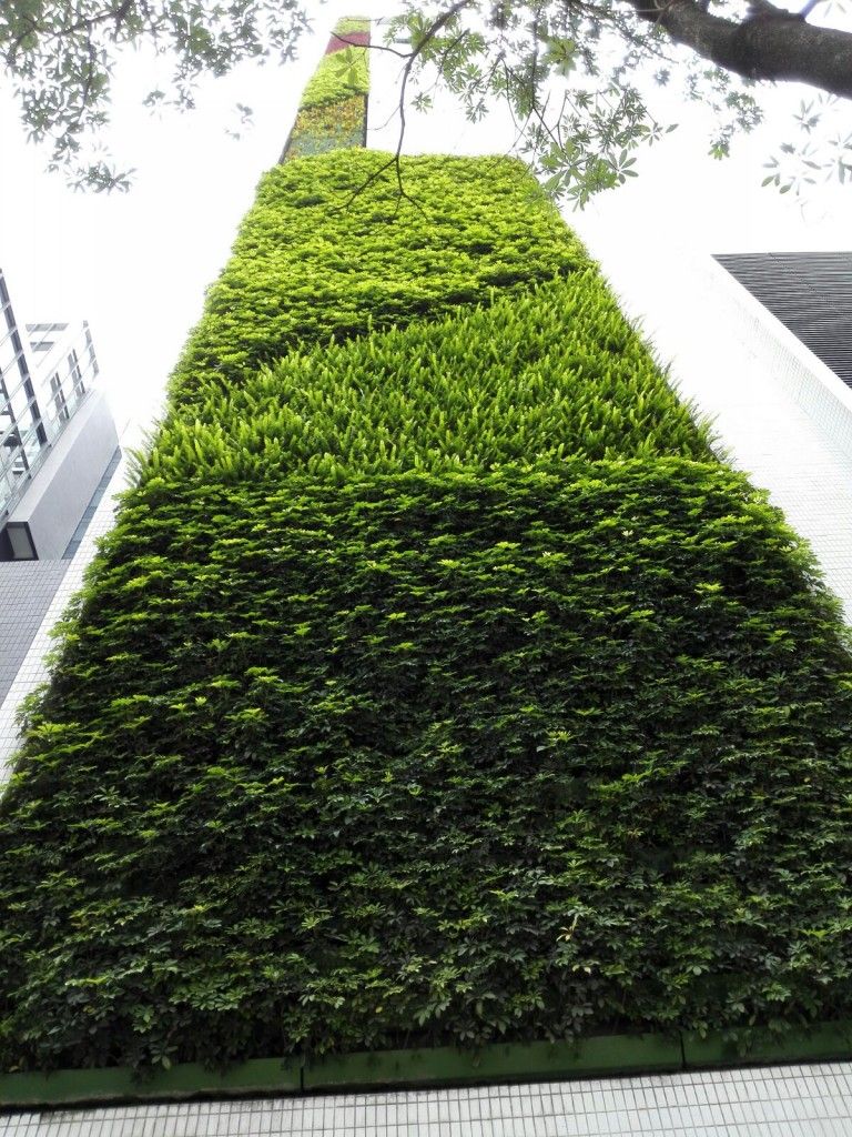 Online photo - Innogreen's Green-wall at the Open University of Hong Kong