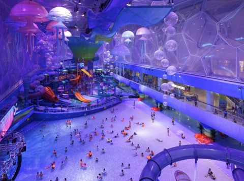 Exporting Fun, Building Relationships