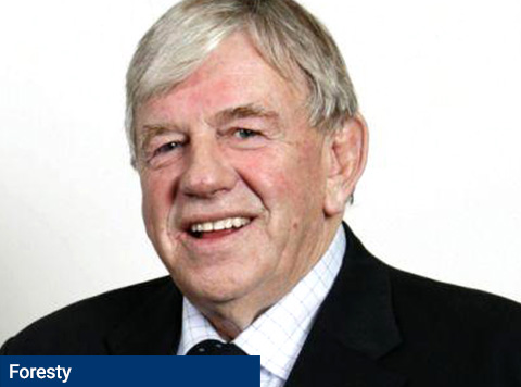 Nelson Pine Industries: Nurturing success