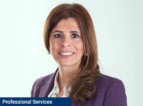 Supporting Japanese companies in Egypt