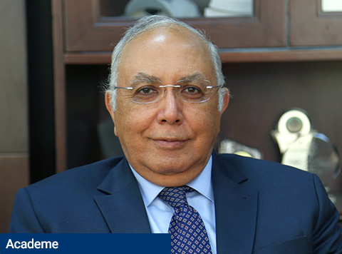 A national university founded on an Egyptian — Japanese partnership