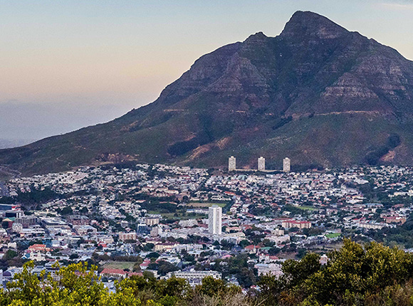 The Japan Times – South Africa Report 2019